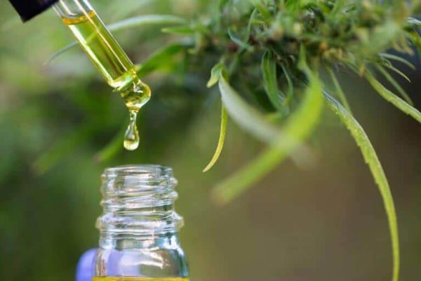Consumer Demand for CBD Oil Is Growing