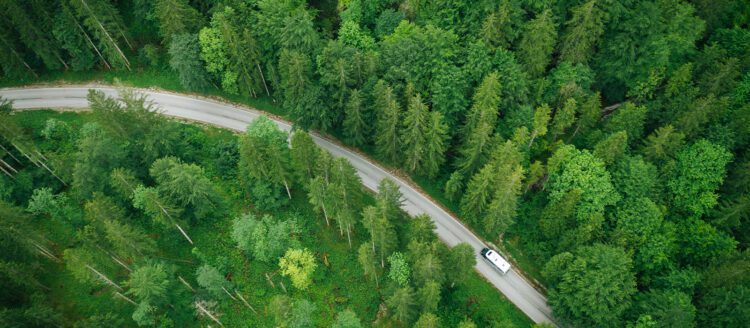 Vehicle driving through a road with dense forrests