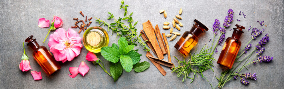 Array of herbs and flowers and essential oils